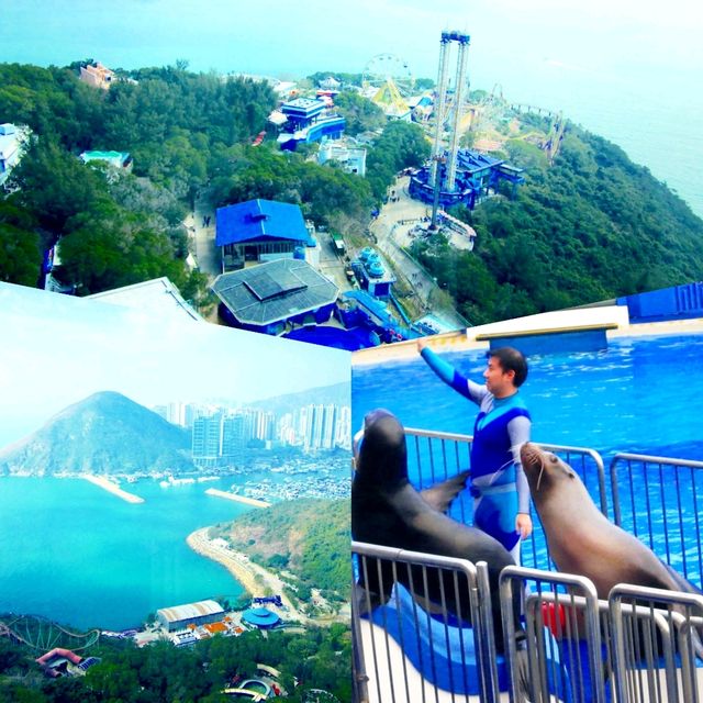 Fun Time at Hong Kong Ocean Park
