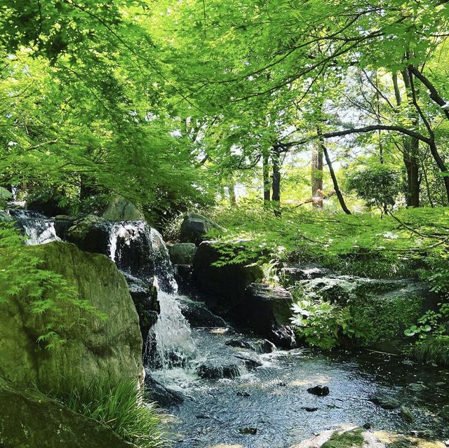 白鳥庭園