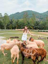 รถบ้านสวนละไม กับบรรยากาศสุดฟิน