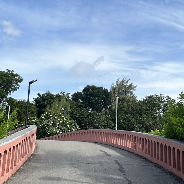 สวนจตุจักร 🌳”🚶🏻‍♀️..🚶🏻— เที่ยววันหยุด!!!!