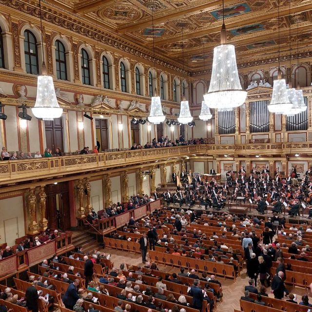 Wonderful hours in the Musikverein, Vienna 