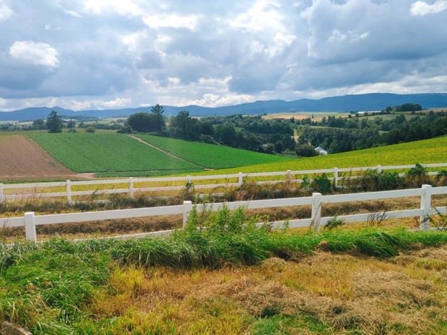北海道の雄大な景色！新栄の丘展望公園