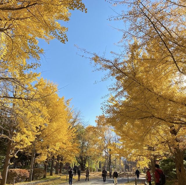 《北海道》四季を楽しめる公園🐥
