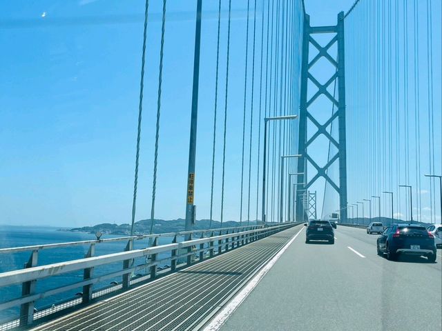 【子ども大はしゃぎ】淡路島の散歩