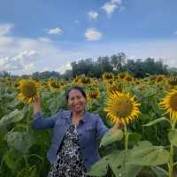 Rayong Thailand Beautiful Flower Garden