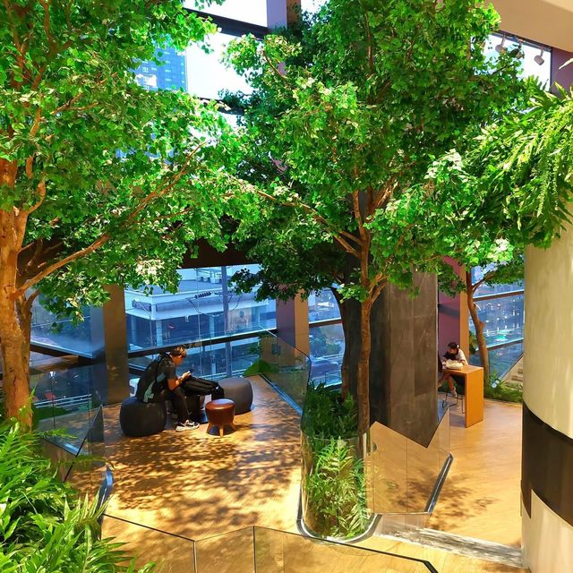 满满的綠色樹木商場SINGHA COMPLEX