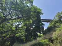 Henderson Waves