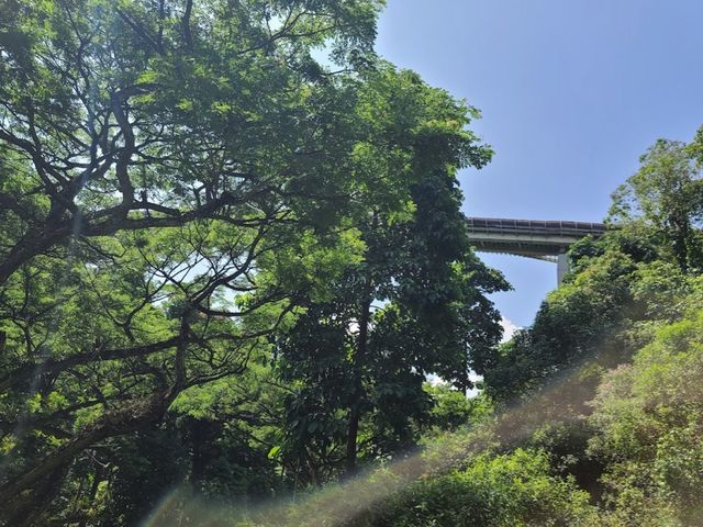 Henderson Waves