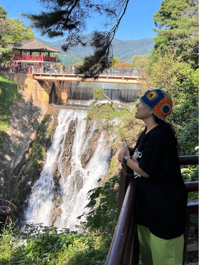 시원하게 떨어지는 폭포를 한눈에 담기🩵