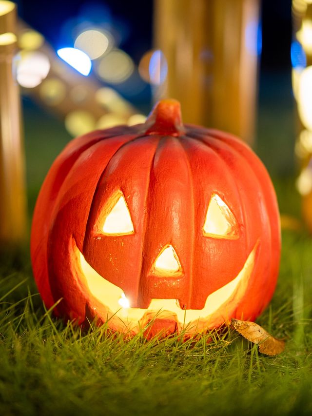 【竹あかり×ハロウィン🎃】無料で見れる美しいハロウィン体験しませんか？☺️✨