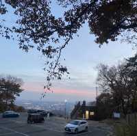 群馬県の日本百名城、金山城