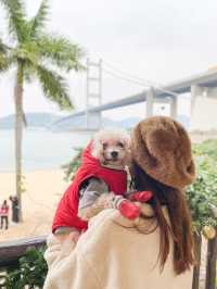 😳🐶果逸寵愛下午茶☕️🍹