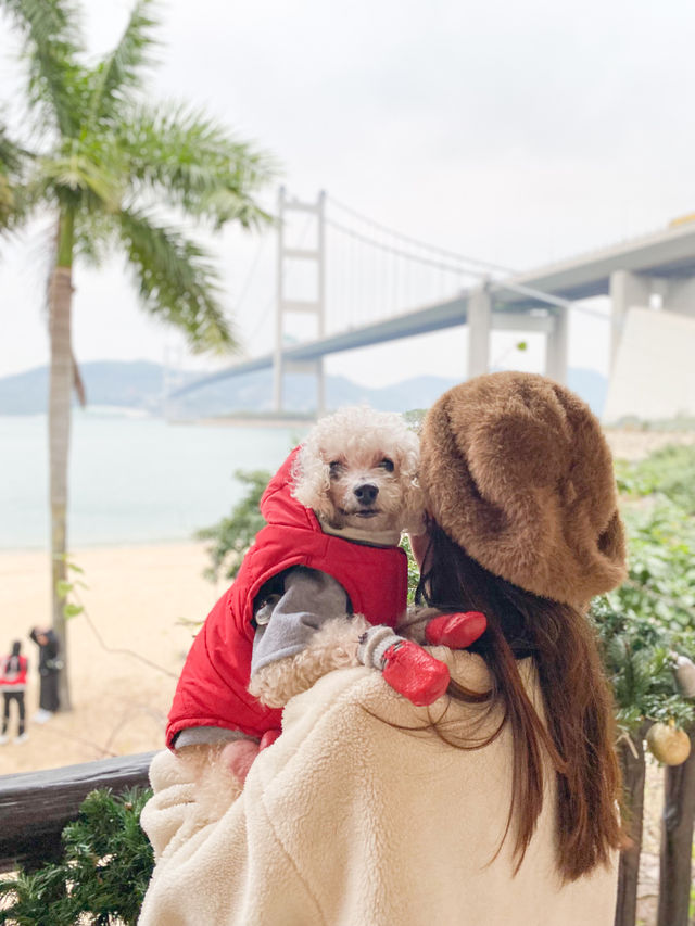 😳🐶果逸寵愛下午茶☕️🍹
