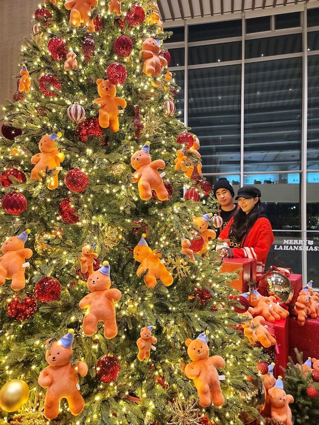 크리스마스 경주 트리맛집으로 핫했던 라한셀렉트경주🎄