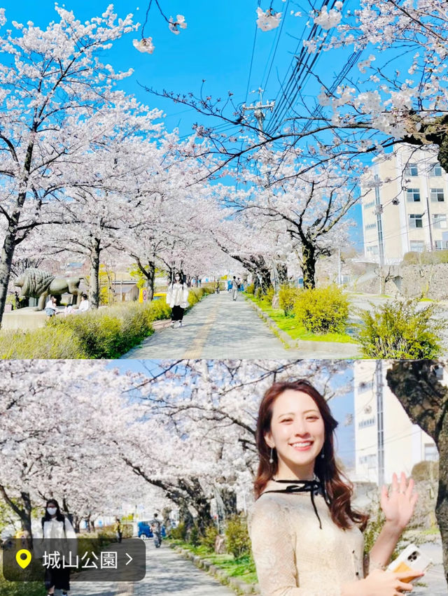 【保存版】MAP付き🗺都内から日帰りで楽しめる！長野1dayおでかけプラン🍎
