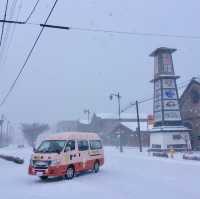 Hakodate Haven: Winter Seafood Bliss