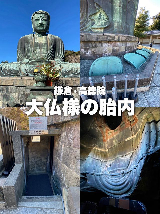 知らなかった大仏様の胎内に50円で！入れる！！