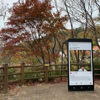 大邱｜賞楓🍁賞櫻🌸的好去處-八公山