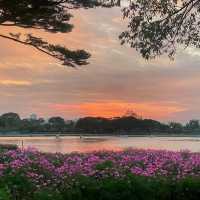 นั่งปิกนิก ปั่นเรือเป็ด ที่สวนหลวงร.9