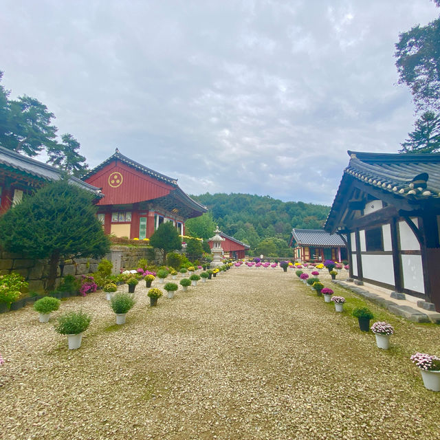 통일신라때 세워진 보석 같은 금산의 절 -  보석사