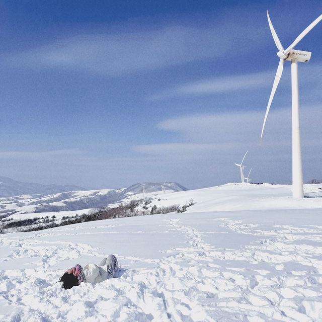 삿포로 느낌 가득한 강원도 삼양 라운드힐 ❄️