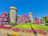 Dubai Miracle Garden 