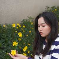 Da Lat in March