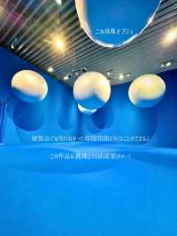 【東京】地球🌏の未来を考える展覧会