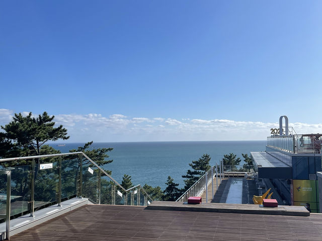 A Tranquil Haven Above the City