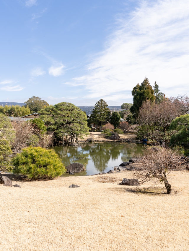 【静岡県/伊豆の国】秘密にしたい美しすぎる日本庭園
