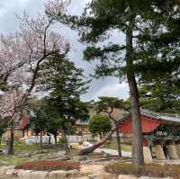 梵魚寺　散策