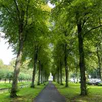 Reconnect with nature in Delft