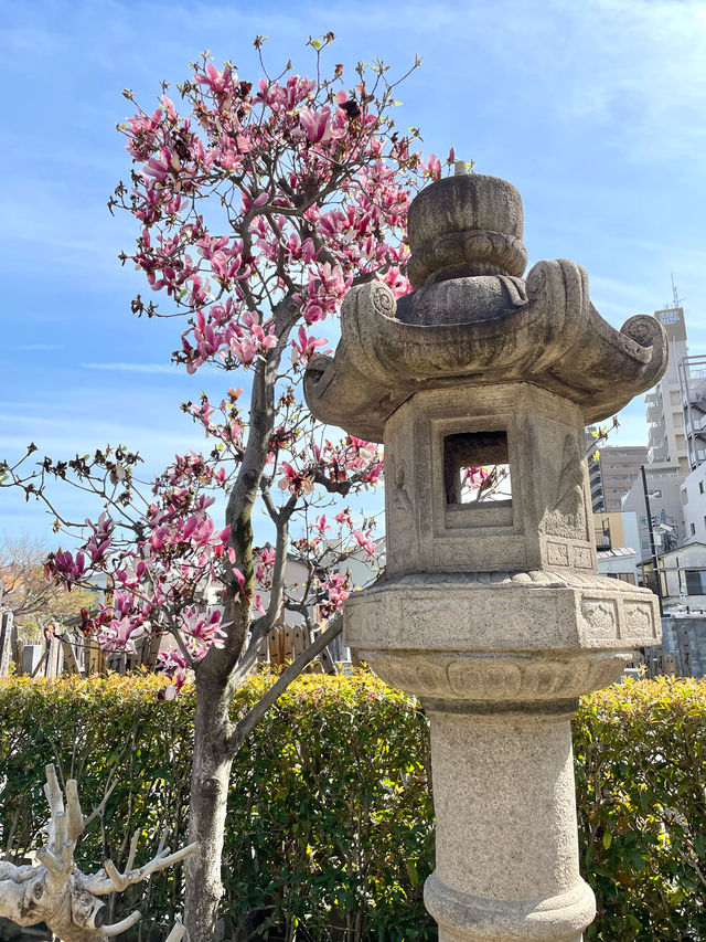 【寶蔵院/東京都】三界萬霊の石碑と石像が見守る寺院