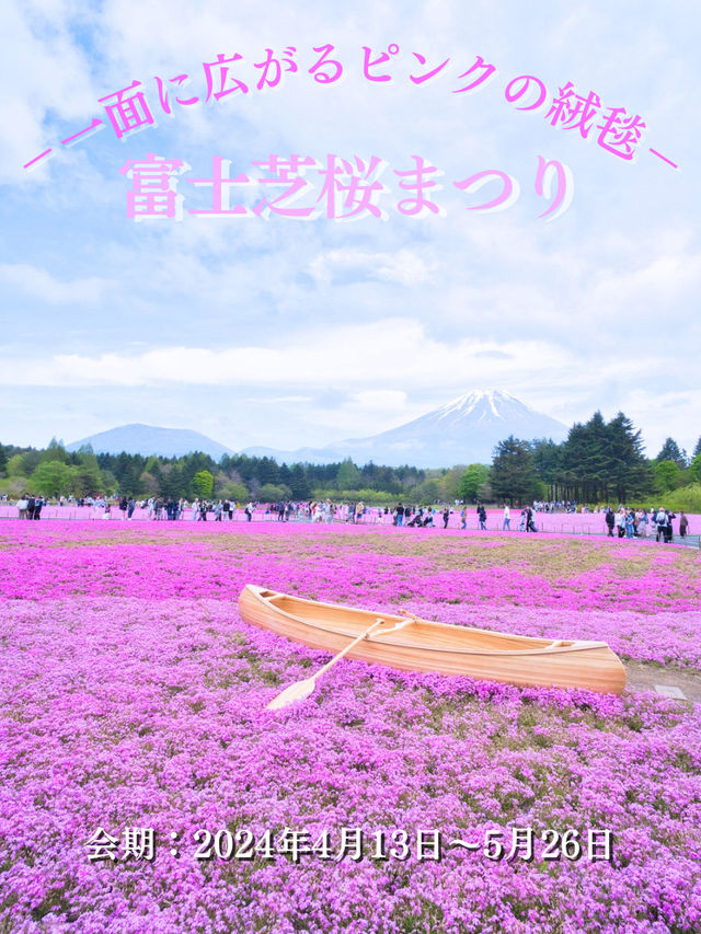 【山梨】上の桜から下の桜へ🌸首都圏最大級✨映え意識高すぎスポット紹介🤩※映え情報付き 