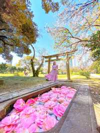 📍浜離宮恩賜庭園 🌸🗼東京・桜と菜の花を楽しむ春散策
