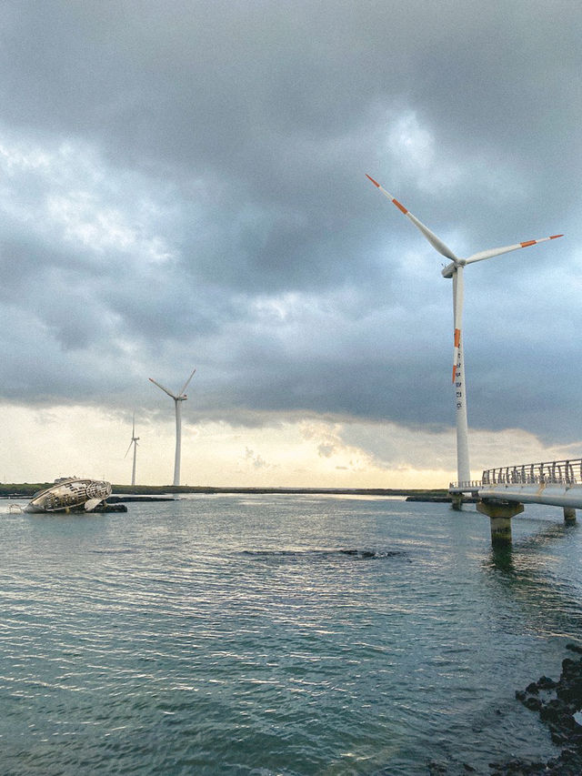 가장 이국적인 풍경을 가진 제주 해안도로🌊