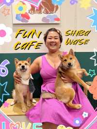 Fun cafe!