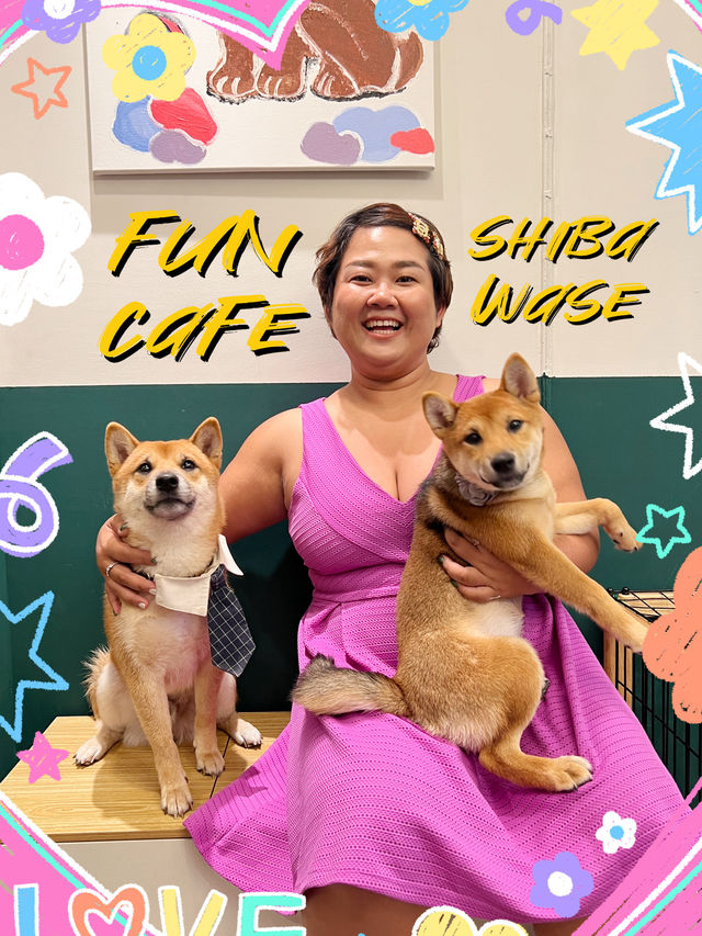 Fun cafe!