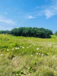 【宮古島】大自然を体感できる東平安名崎灯台