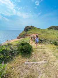 【壱岐島(長崎)】無人島にある絶景の断崖スポット