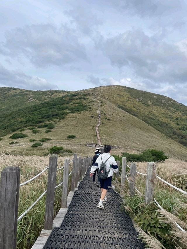 가을 산행의 명소, 억새의 물결이 아름다운 간월재 