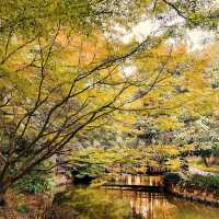 「東京景點：渋谷區互動植物園，適合全家人」