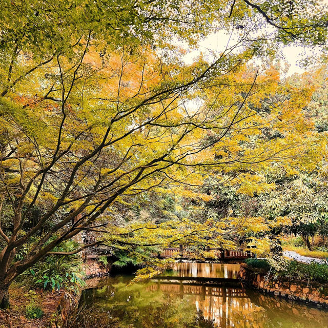 「東京景點：渋谷區互動植物園，適合全家人」