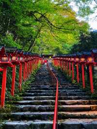 「貴船神社」、「鞍馬寺」：京都近郊小旅行，絕景雲珠櫻和滿山紅葉