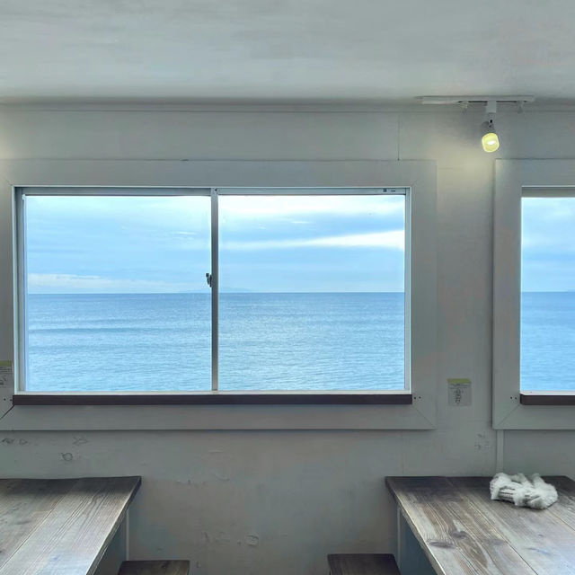 逗子海岸：夕陽美景、自然生態，絕對值得一遊