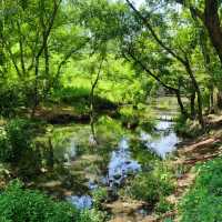 官廳水庫國家濕地公園：自然生態景觀