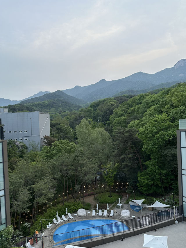 서울에서 무릉도원같은 자연경관에서 힐링하는 호캉스”파라스파라 서울”