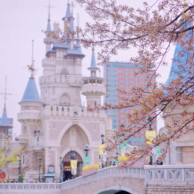 Fairy Tale-like Cherry Blossom Viewing Spots - Lotte World and Seokchon Lake.