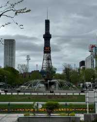 park is spacious in heart of city