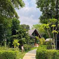 Within Khaoyai